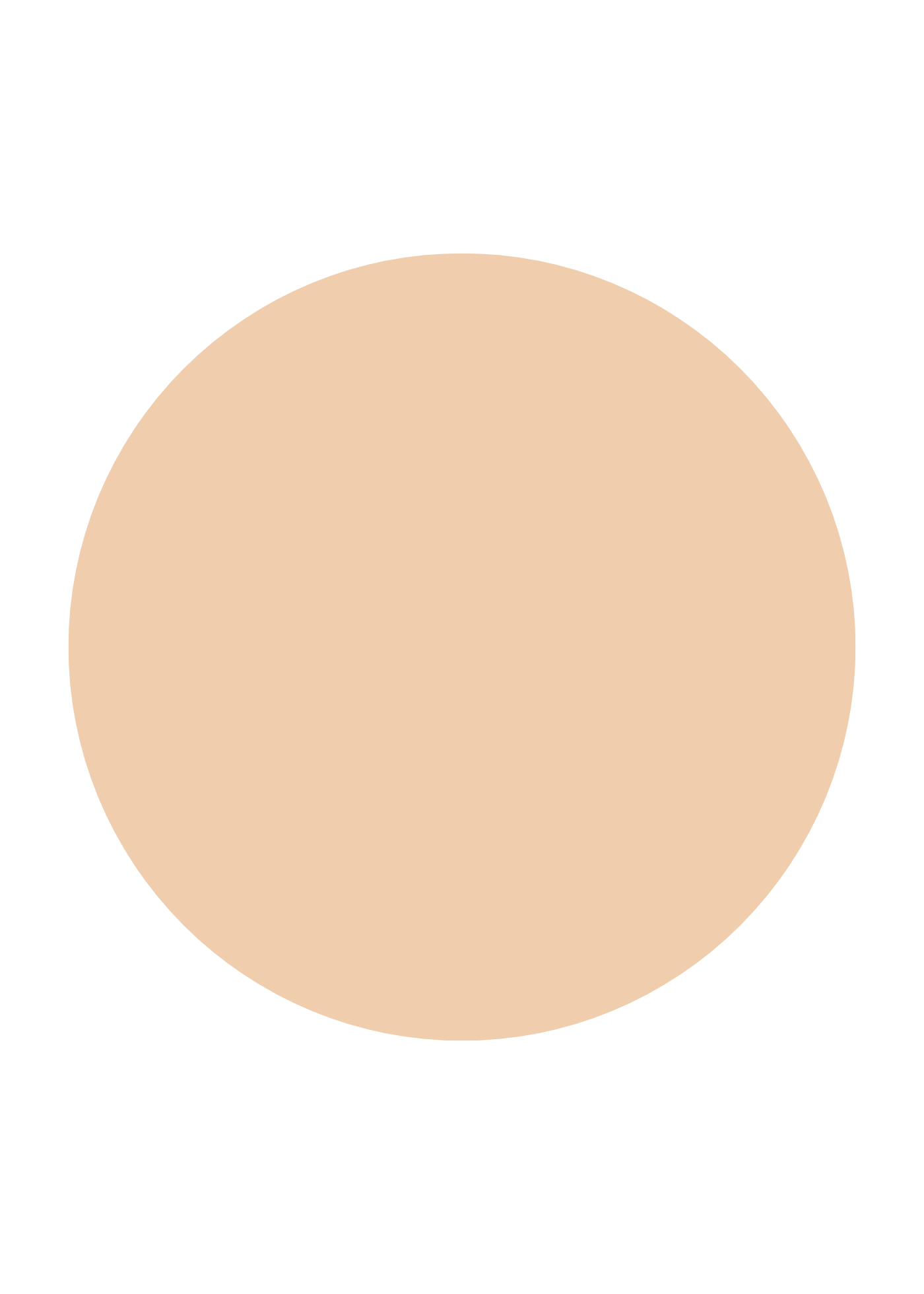 INIKA Organic Serum Foundation