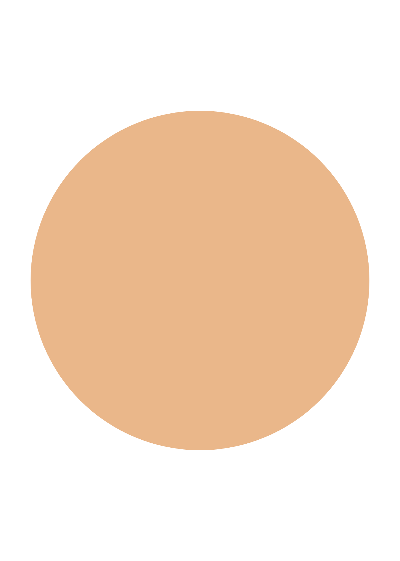 INIKA Organic Serum Foundation