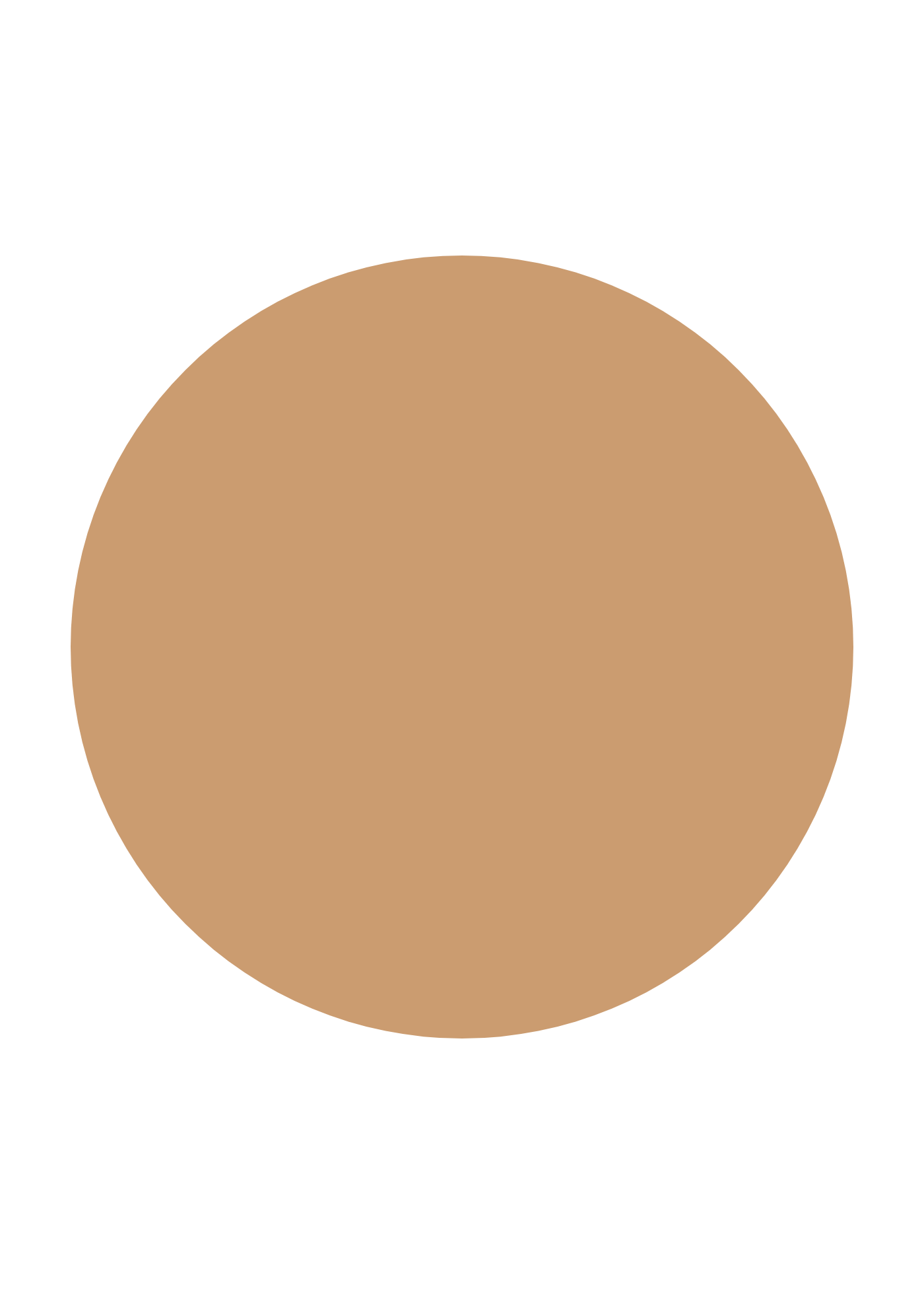 INIKA Organic Serum Foundation