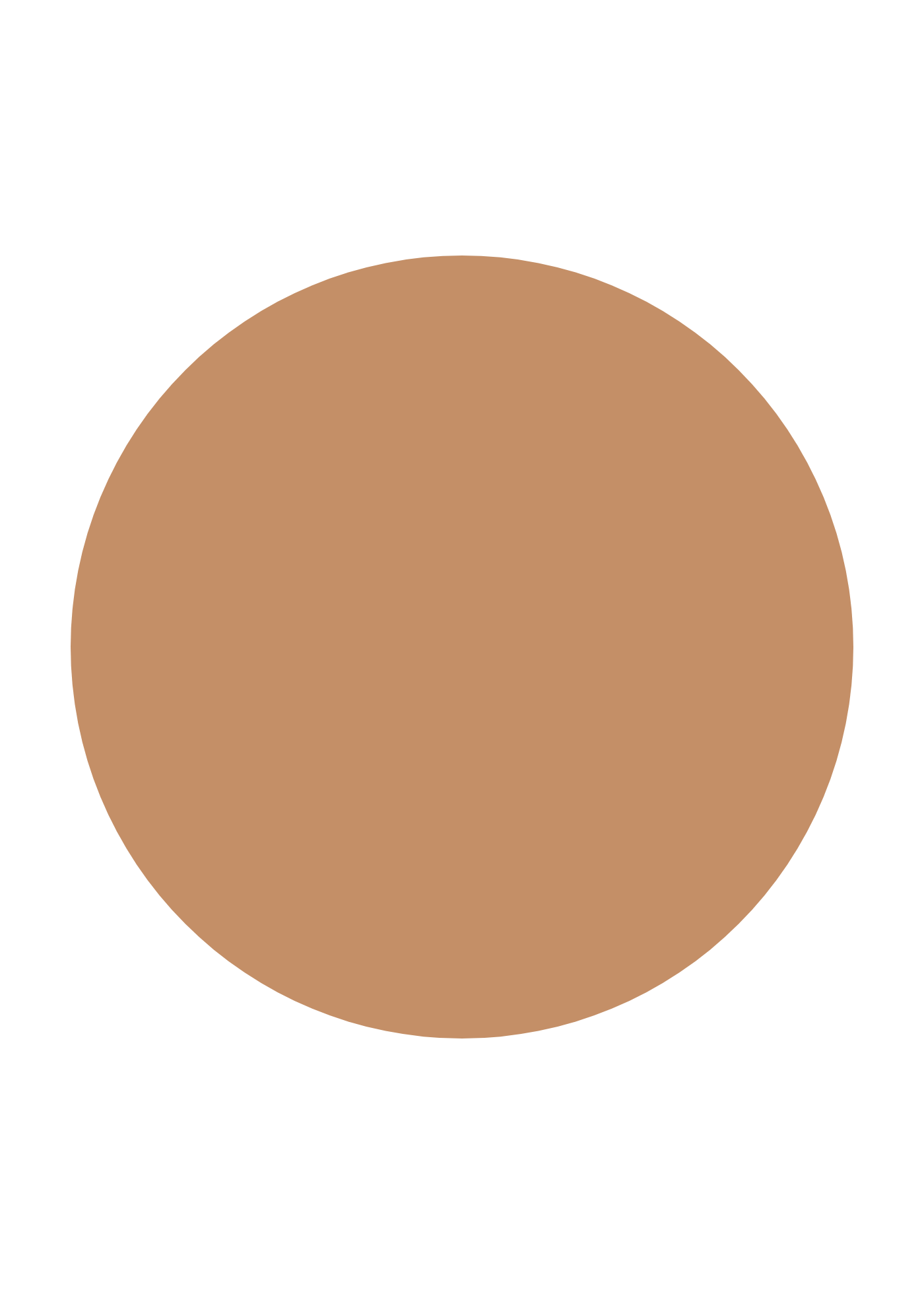 INIKA Organic Serum Foundation