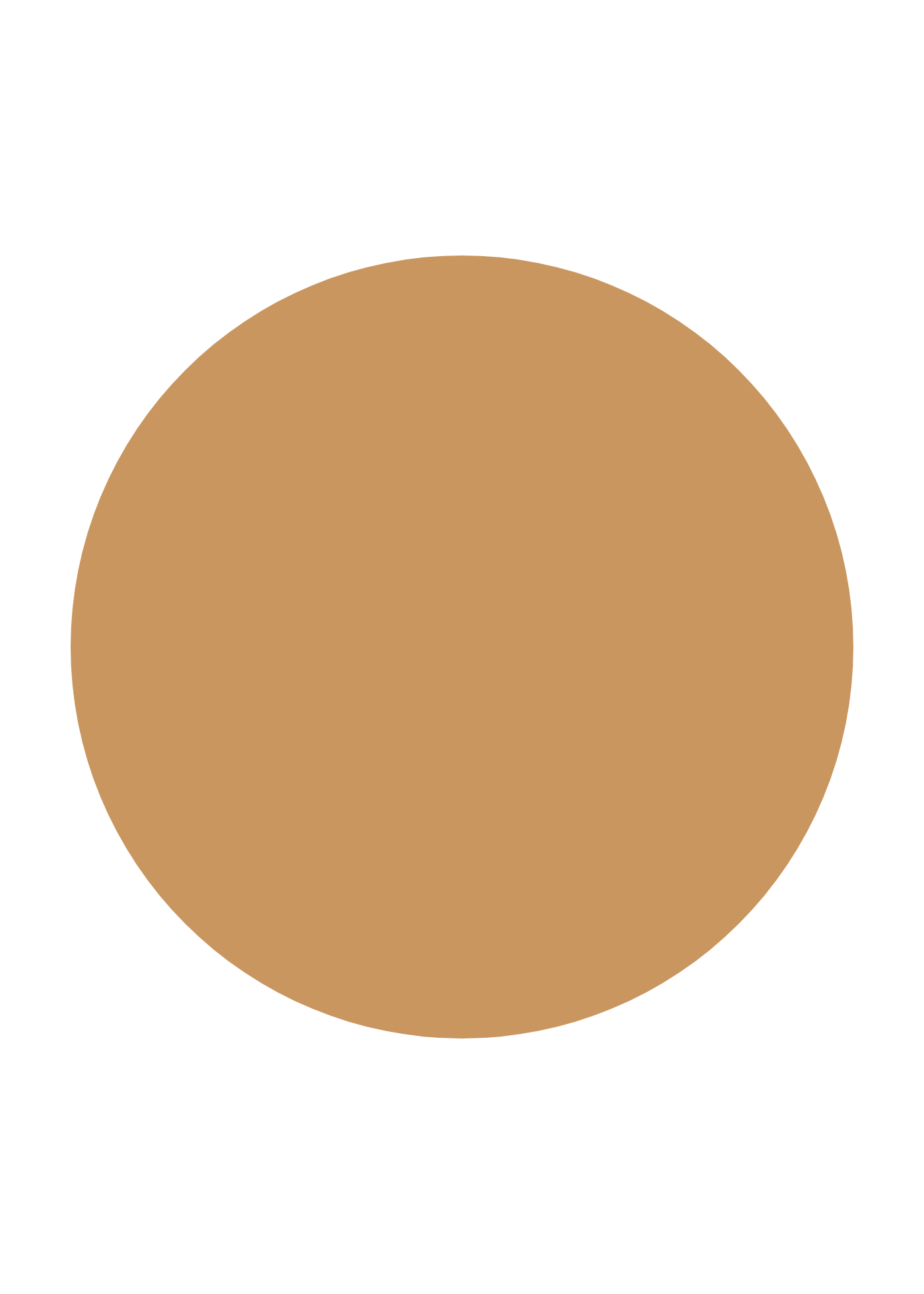 INIKA Organic Serum Foundation