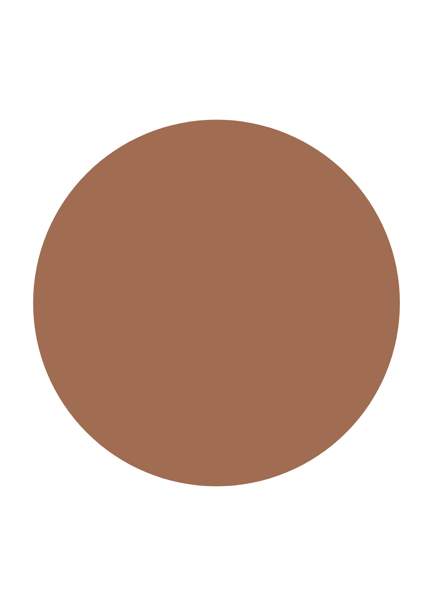 INIKA Organic Serum Foundation