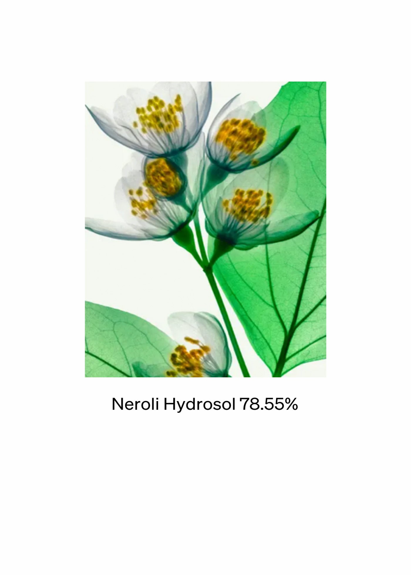 Neroli Face Cleanser