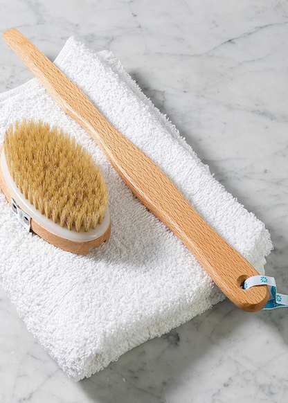 Body Skin Brush