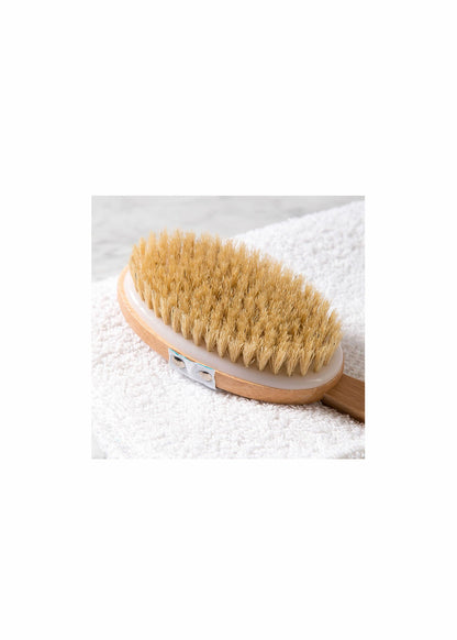 Body Skin Brush